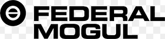 Federal-Mogul Federal-Mogul