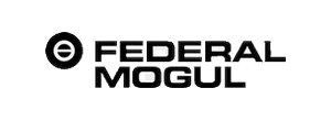 Federal-Mogul Federal-Mogul